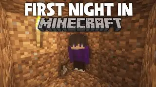 POV: Your First Night in Minecraft #shorts