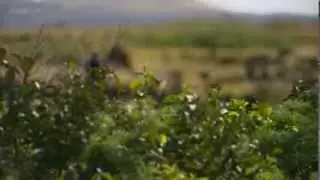 Easter Islands Ancient Gardening Practices