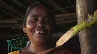 Love in the land of tigers | Documentary film by Ranjan Palit