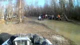 Berry Bog Mantee MS 2/18/17 part 1