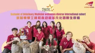 CityUHK&rsquo;s Bachelor of Veterinary Medicine Programme draws record international enrolment