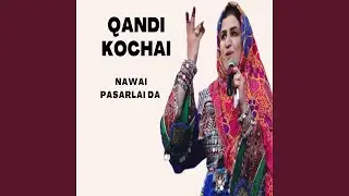 Darza Janana Nawi Pasarlai Da