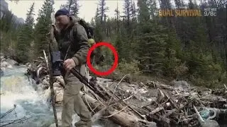 Bigfoot Seen On Survivorman 2015