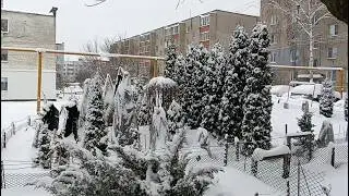 Зимняя сказка у дома