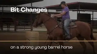 Bit Changes on a Young Barrel Horse that wants to be Strong and Pull with Joy Wargo