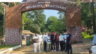 Dalma🐯🦣🐘🐅 Tracking Masti, Night View & Morning Nature #dalmawildlifesanctuary #jamshedpurnews 