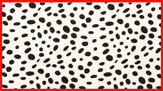 Cotton Tale Designs Fitted Crib Sheet, Hottsie Dottsie, White HDST