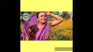 Flouriculture #convergence with Horticulture and Krisi Vigyan Kendra,Burla#OFSDP-II#Rengali FMU