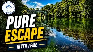 River Teme - Ludlow - Wędkarstwo muchowe w UK