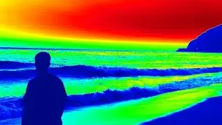 BodySurfing CaliforniawithSeaLions2015