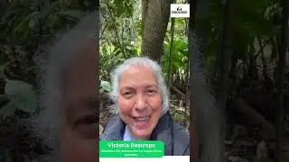 Documental La magia de los P&aacute;ramos - Victoria Restrepo