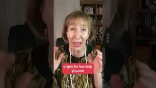 Muscle is a critical metabolic organ because... | Felice Gersh, MD