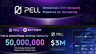 PELL NETWORK (What to know about Getting whitelisted on Pell  Network) COMMENT-To find out more. 🏖️🍿