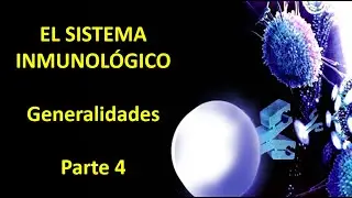Sistema inmune generalidades. Video 4
