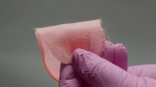 WACHSPERLEN von MR.WAX f&uuml;r das perfekte Waxing - Produktvideo Version 2
