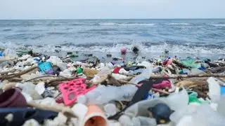 Plastic Pollution Speech