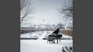 Soft Winter Morning