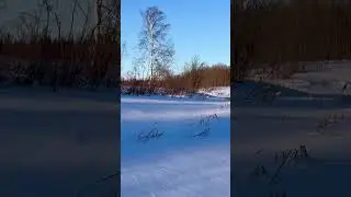 #музыка #лошади #спорт #спорт #зима