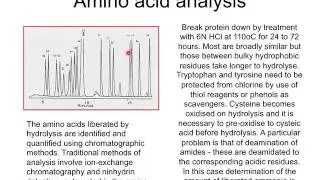 Week 1- Protein Engineering Lecture 1: Protein Basics