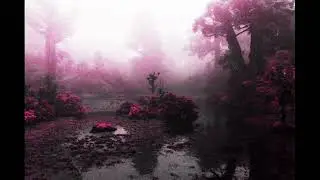 △Sco△ - тебе выбирать куда и как