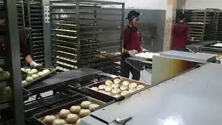 OVEN TUNEL PIA BASAH/ROTI GEPENG