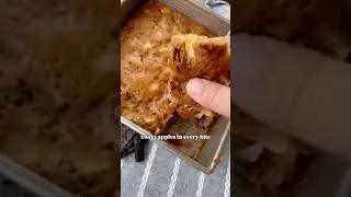 Sourdough Discard Apple Cake
