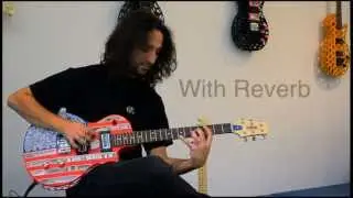The Sound of 3D Printed Guitars