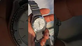Orient Mako 40 with a crisp white dial and a 40mm case - Tudor Black Bay Pro GMT on a budget
