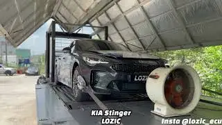 KIA Stinger 2.0  LOZIC Custom ECU Tuning + Performance Popbang