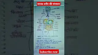 मानव शरीर की संरचना ll human body structure #humanbodyfacts #humanbodyinformation #humanbody
