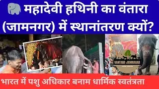 Mahadevi Elephant Case | Madhuri | Animal Rights vs Religious Freedom in India | वंतारा -जामनगर |