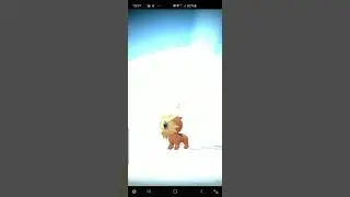 Lillipup pokemon evolution