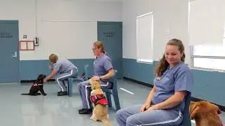 WUFT News: Lowell Correctional Institution dog training program