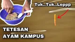 Umpan Ayam Kampus Bikin Lapak Sebelah Melongo | Umpan Simpel Gacor Ikan Mas
