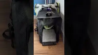 Travel Cat Backpack for our Sphynx