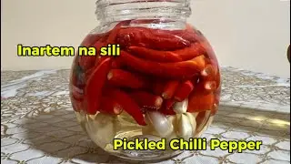 Pickled  Spicy Red Chilli Pepper #pickledpeppers #spicy  #chilli #favorite #spicyfood #pepper #short