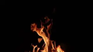 Bonfire flame at night close-up. Black background. Realistic fire footage. Rest and relaxation.