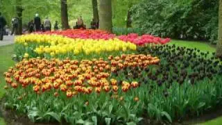 Keukenhof, Holland,  Hollande, Holanda Fotos flores.