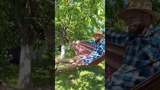 The best knot for Tying a hammock. #knot