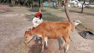 #viral#song