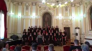 Omladinski mešoviti hor MŠ “Josif Marinković” Zrenjanin, Republičko takmičenje horova 2018