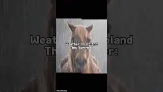 Weather In Poland This Summer: #fyp #viral #popular #memes #foryou #shorts #trend #poland