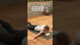 🍂 Yin Yoga im Herbst&nbsp;&ndash; Raum f&uuml;r Lebensfreude #yinyoga