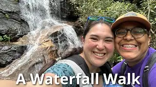 A Waterfall Walk: Discovery, Log Hollow, & Logging Road Falls AND Frying Pan Mountain Fire Tower