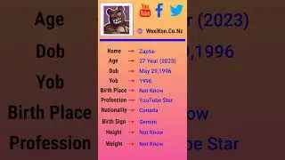 Zaptie - Wiki, Bio, Networth, Birthdate, Family & More
