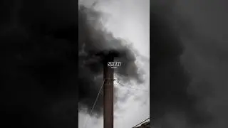 💨 ТАЙНА ВАТИКАНА О ПАПСКОМ КОНКЛАВЕ 1958 ГОДА 😳 - Мэл Гибсон #joerogan