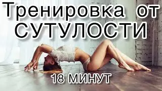 Тренировка для ВСЕ ТЕЛО: Упражнения для ОСАНКИ. Exercises to Keep Your Eyebrows Straight. #йога