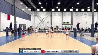 Vision 16 EXV Blue vs Premier 16 Black A