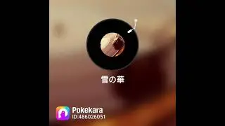 【雪の華(生演奏)/中島美嘉】𝕗𝕚𝕣𝕤𝕥 𝕥𝕒𝕜𝕖 ひめちゃーの肺活量と腹筋どこいたぁぁぁぁぁぁあ 毎日腹筋ちてまふ。はい。