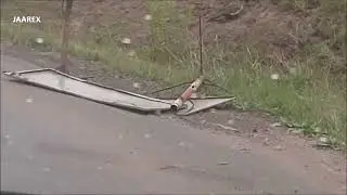 Budowa kanalizacji Gałkówku. Wycięte zostały wszystkie drzewa po dwóch stronach nowo budowanej drogi